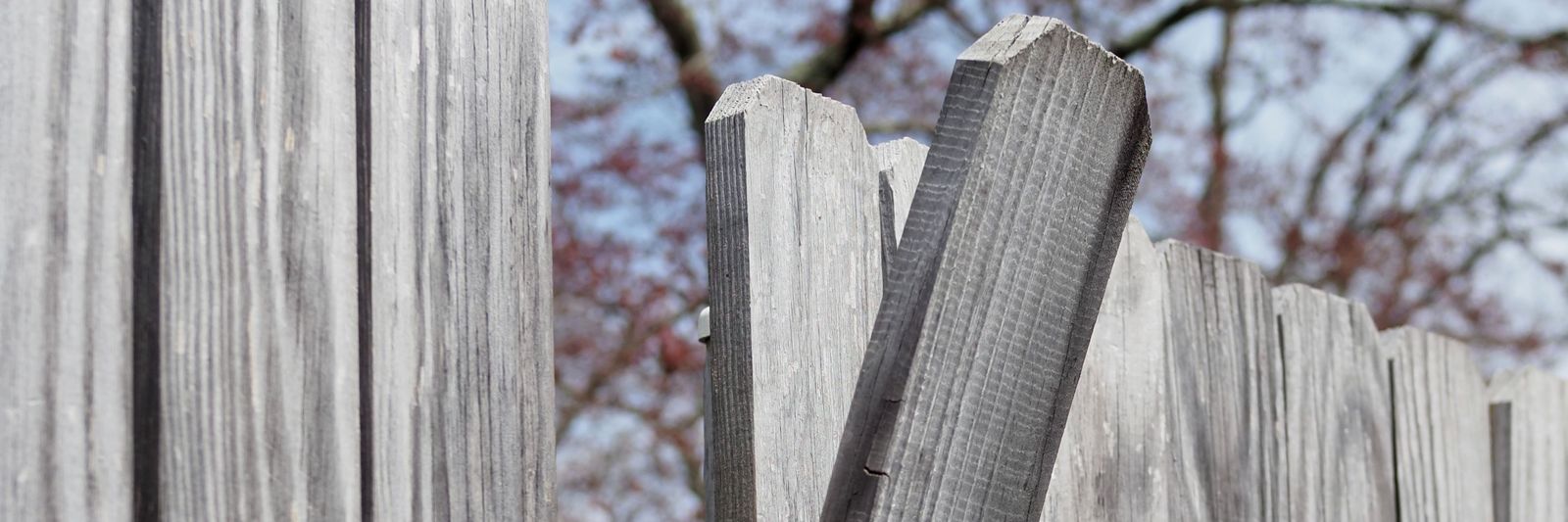 Weathered gray wood fence with one board warped and pulled away from the rest
