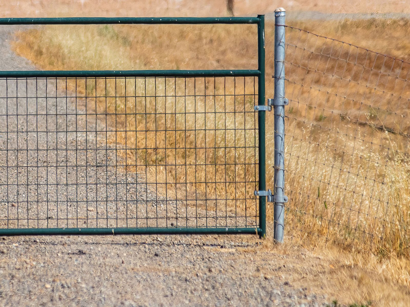 Green welded pipe ranch gate with welded wire infill on a gravel drive between dry grass fields